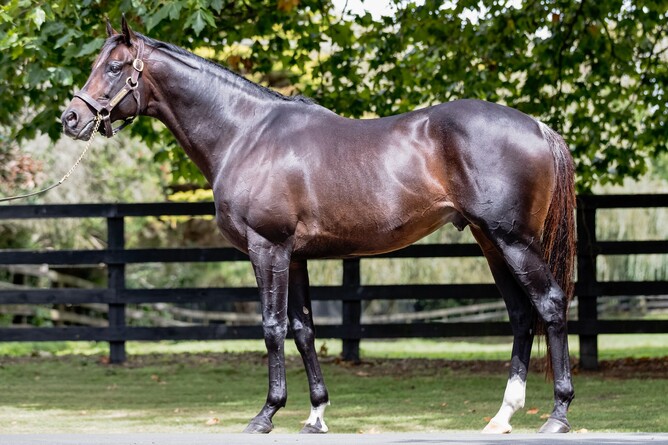 View Nadal Horse Pics
